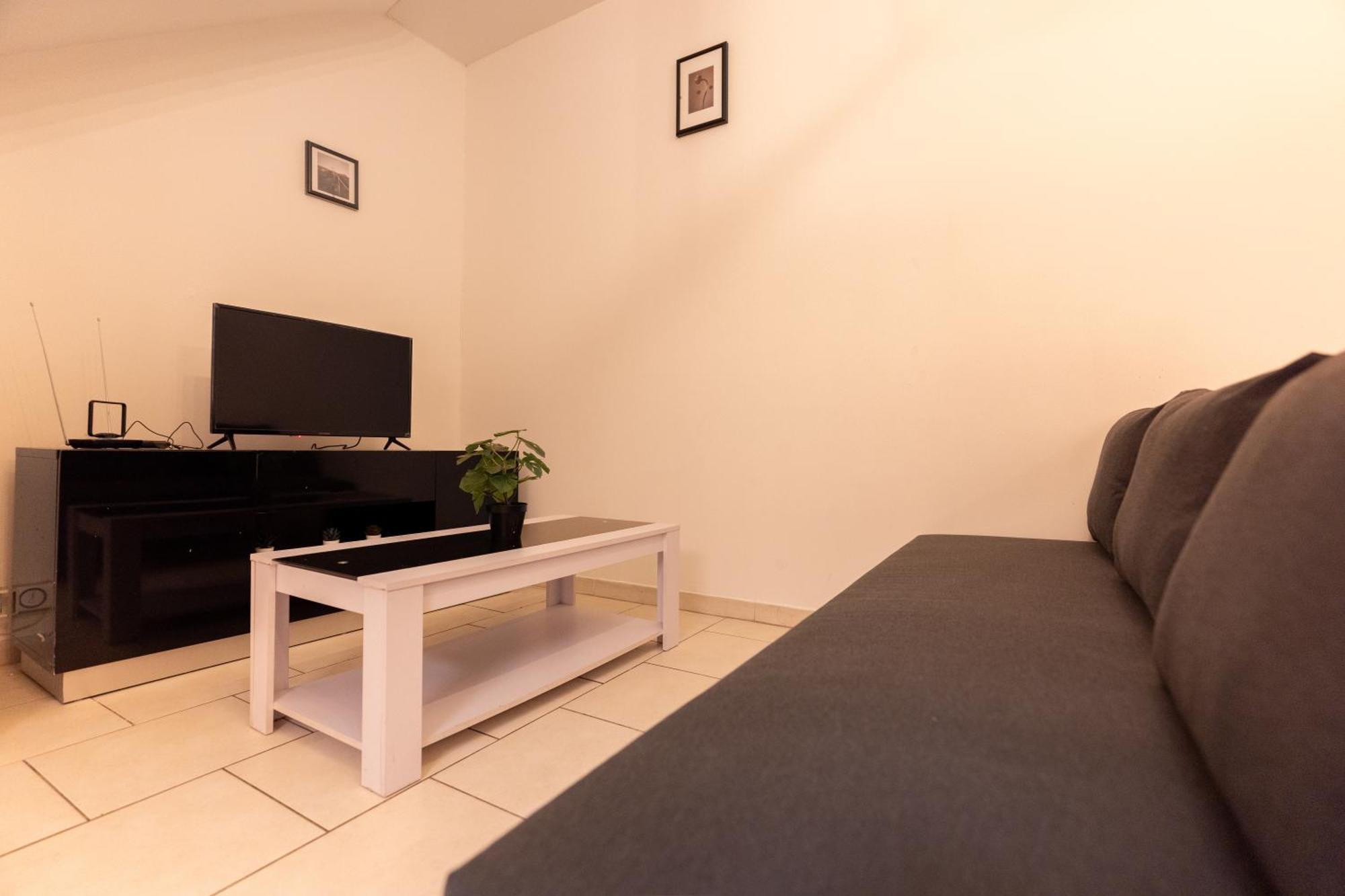 Le Albert 1Er Beziers Appartements Tout Equipes Екстериор снимка